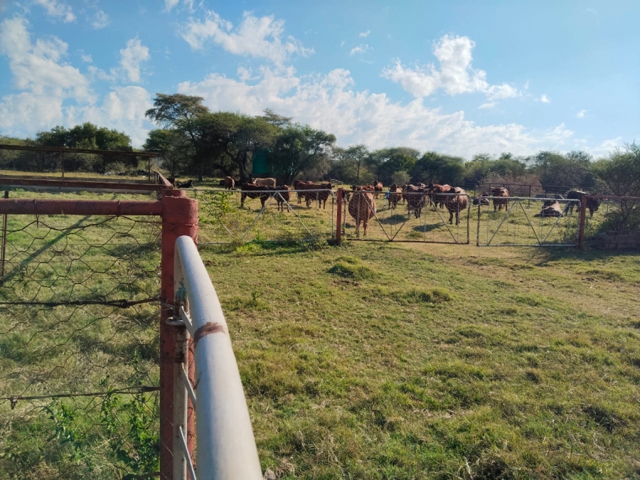 0 Bedroom Property for Sale in Waterval S H North West